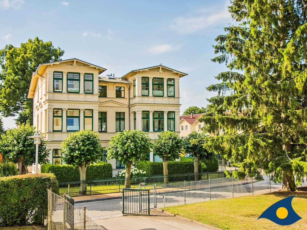 הרינגסדורף Villa Waldblick Whg 05 מראה חיצוני תמונה